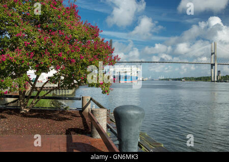 PROMENADE À PIED DE LA RIVIÈRE SAVANNAH SAVANNAH GEORGIA USA Banque D'Images