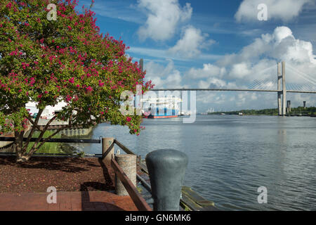 PROMENADE À PIED DE LA RIVIÈRE SAVANNAH SAVANNAH GEORGIA USA Banque D'Images