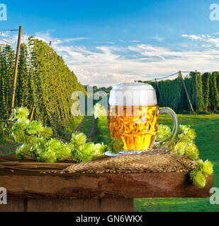 Verre de bière et la matière première pour la production de bière Banque D'Images