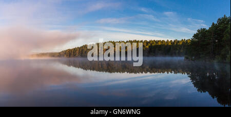 Mist rising sur le Loch Garten, Ecosse Banque D'Images