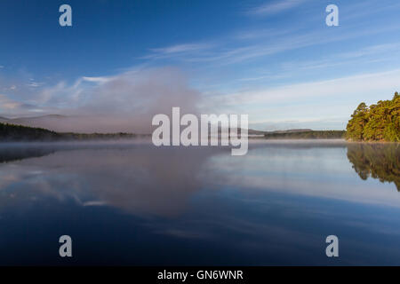 Mist rising sur le Loch Garten, Ecosse Banque D'Images