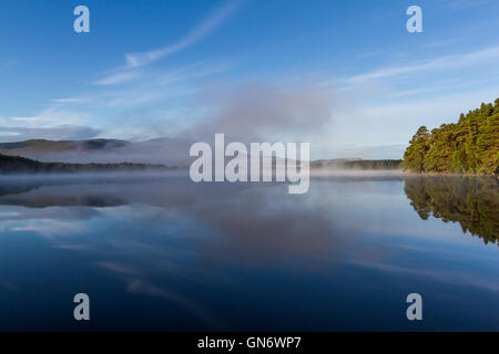 Mist rising sur le Loch Garten, Ecosse Banque D'Images