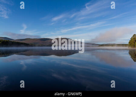 Mist rising sur le Loch Garten, Ecosse Banque D'Images