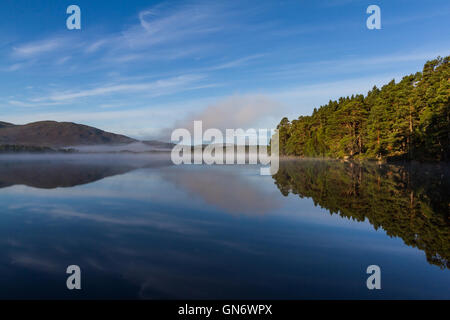 Mist rising sur le Loch Garten, Ecosse Banque D'Images