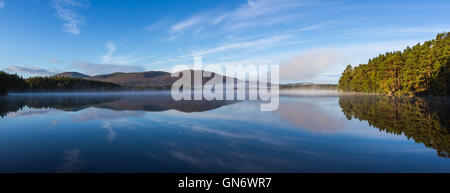 Mist rising sur le Loch Garten, Ecosse Banque D'Images