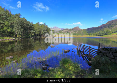 Blea Tarn et lointain, Langdale Pikes Langdale, Cumbria, Parc National de Lake District, England, UK. Banque D'Images