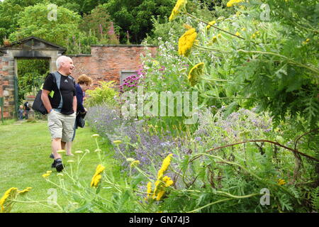 Une frontière herbacées en pleine floraison à Wortley Hall jardin clos au cours d'une journée porte-ouverte, Sheffield, Yorkshire UK Banque D'Images