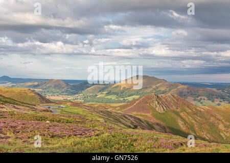 La lande de bruyère sur le long Mynd et la lointaine colline Caer Caradoc, Shropshire, England, UK Banque D'Images