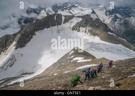 Escalade sur le Grosses Wiesbach corne 3564m Banque D'Images