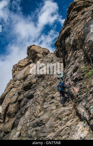 Escalade sur le Grosses Wiesbach corne 3564m Banque D'Images