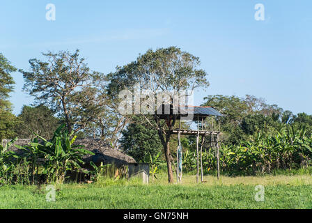 Village "Lookout" pour la faune, Sri Lanka Banque D'Images