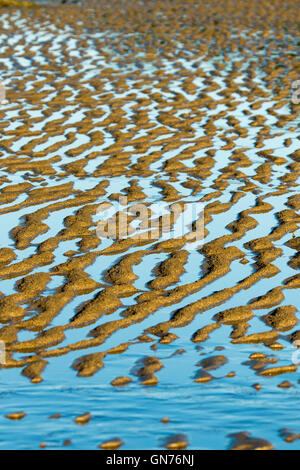 Des modèles naturels uniques, l'art créé à l'eau bleu azur et les rigoles de golden sand at beach Banque D'Images