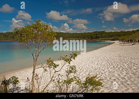 Mackenzie Lake avec groupe de touristes sur la plage de sable blanc à côté de l'eau turquoise bordée de forêts sous ciel bleu l'île Fraser Banque D'Images