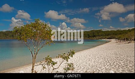 Mackenzie Lake avec groupe de touristes sur la plage de sable blanc à côté de l'eau turquoise bordée de forêts sous ciel bleu l'île Fraser Banque D'Images