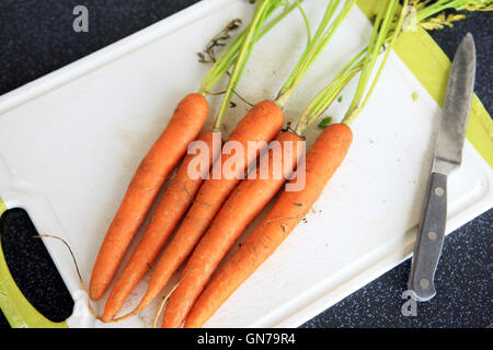 Carottes fraîches avec de la terre et des feuilles sur une planche à découper Banque D'Images