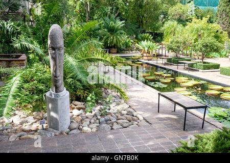 La tête de l'astronome de la sculpture en pierre par Anton Smit, Jardin botanique de l'Université de Stellenbosch, Afrique du Sud Banque D'Images