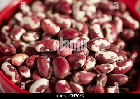 Haricots secs, un traditionnel Anasazi Native American food de l'Arizona, USA Banque D'Images