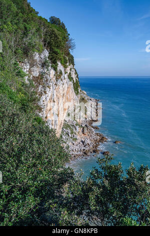 Cliff Buciero monte dans la ville de Santona, Cantabria, ESPAGNE Banque D'Images