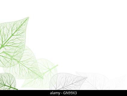 Arrière-plan de feuilles Illustration de Vecteur