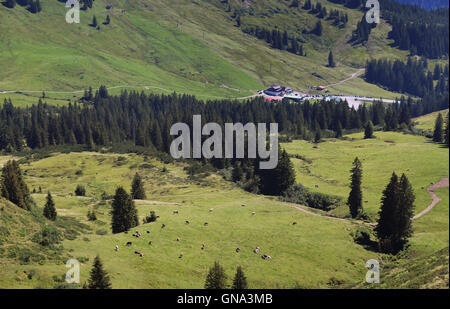 Obermaiselstein, Allemagne. Août 26, 2016. La vue depuis le haut de Riedberger horn vers la zone de ski Grasgehren près d'Oberstdorf, Allemagne, 26 août 2016. Il y a un projet controversé de combiner les stations de ski de Balderschwang et Grasgehren avec un soi-disant 'Skischaukel" (lt. école de ski) d'être décidé en octobre par un référendum. Photo : Karl-Josef Opim/dpa/Alamy Live News Banque D'Images