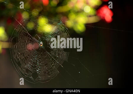 Londres, Royaume-Uni. Août 29, 2016. Temps chaud retour au sud-est pour cette banque août lundi férié Crédit : Paul/Quezada-Neiman Alamy Live News Banque D'Images