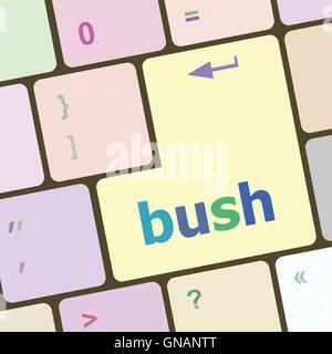 L'icône Mot de bush sur les touches du clavier d'ordinateur portable vector illustration Illustration de Vecteur