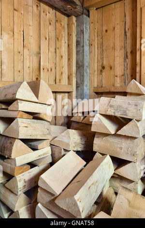 Paneveggio forêt, les Dolomites, Italie. Les billettes de l'épinette de Norvège (Picea abies Karst) utilisés pour la fabrication de violons Banque D'Images