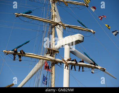 Blyth, Northumberland et de travail de l'équipage en altitude sur le brick polonais 'Chopin' contre un 128 mètres de haut, une éolienne. Banque D'Images