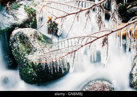 Petit ruisseau gel formant les glaçons Banque D'Images