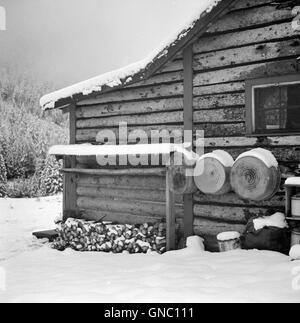 Ranch House après le début de l'automne, Blizzard près de Aspen, Colorado, USA, Marion Post Wolcott pour Farm Security Administration, Septembre 1941 Banque D'Images