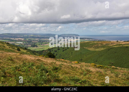 Une vue d'été dans le haut de la colline sur le Weacombe Quantocks dans Somerset à l'ouest en direction de Minehead et d'Exmoor Banque D'Images