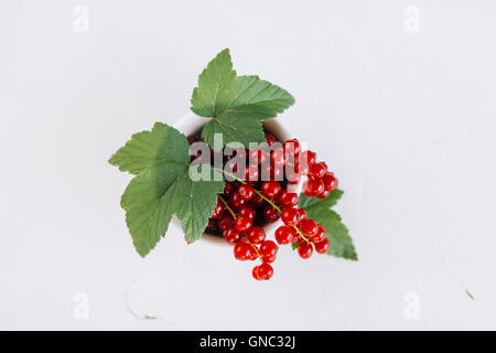 Frische Johannisbeeren in einer Schale angerichtet - groseilles fraîches dans un bol Banque D'Images