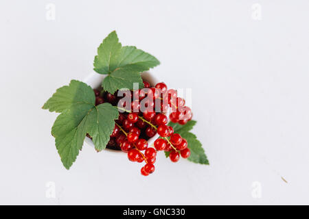 Frische Johannisbeeren in einer Schale angerichtet - groseilles fraîches dans un bol Banque D'Images