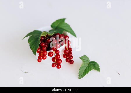 Frische Johannisbeeren in einer Schale angerichtet - groseilles fraîches dans un bol Banque D'Images