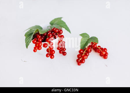 Frische Johannisbeeren in einer Schale angerichtet - groseilles fraîches dans un bol Banque D'Images