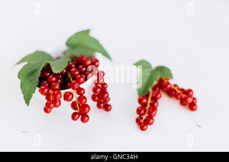 Frische Johannisbeeren in einer Schale angerichtet - groseilles fraîches dans un bol Banque D'Images