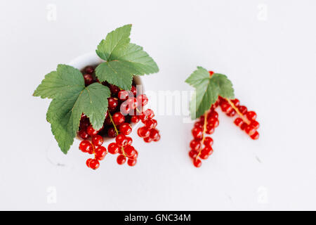 Frische Johannisbeeren in einer Schale angerichtet - groseilles fraîches dans un bol Banque D'Images