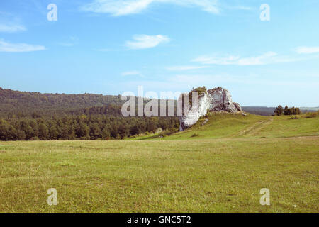 Vue de la highlands Jurrasic en Pologne / paysage Vintage Banque D'Images