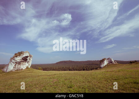 Vue de la highlands Jurrasic en Pologne / paysage Vintage Banque D'Images