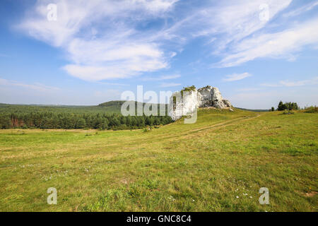 Vue de la highlands Jurrasic en Pologne / paysage Banque D'Images