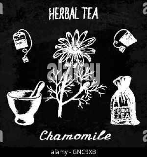 Tisane camomille. Tableau ensemble d'éléments du vecteur Illustration de Vecteur