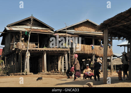 Village Akha, maisons sur pilotis Banque D'Images