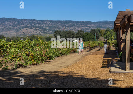 Les femmes adultes, les touristes à la recherche au raisin, vigne, vignoble, vigne, raisin , Robert Vignes, Big Ranch Road, Napa, Napa Valley, Californie Banque D'Images