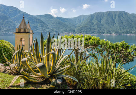 Jardin de la Villa Balbianello, Lenno au lac de Côme, Lombardie, Italie Banque D'Images