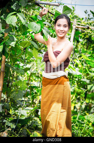 Belle femme d'Asie et le panier contenant la récolte de courgette, chiangrai Thaïlande, style vintage, ajouter les céréales Banque D'Images