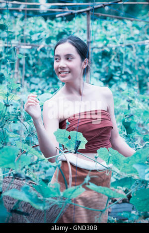 Belle femme d'Asie et le panier contenant la récolte de courgette, chiangrai Thaïlande, style vintage, ajouter les céréales Banque D'Images