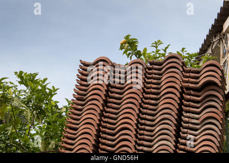 Pile de tuiles de toit baissé, la création d'un modèle d'onde. Les arbres autour. Ciel bleu. Banque D'Images