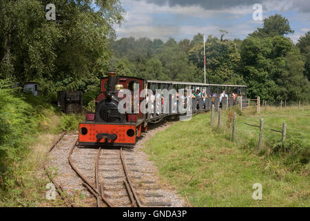 'Jerry M' train tirant sur la carrière de Ben Nevis à steam museum Banque D'Images