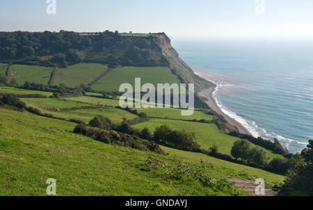 Afficher le long de la route de la côte sud-ouest du chemin de la colline de Salcombe Dunscombe supérieur sur les falaises de la Côte Jurassique devons Banque D'Images