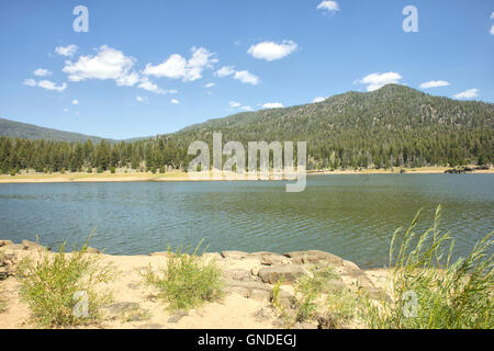 Delmoe lac près de Butte, Montana dans Deerlodge National Forest dans le Montana. Banque D'Images